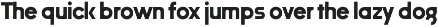 Quible DIsplay Geometric Sans preview