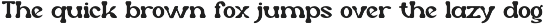 Woyder - Retro Display Font font preview