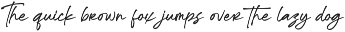 Ronthalyn Handwritten Signature Font preview