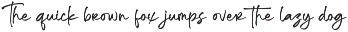 Ronthalyn Handwritten Signature Font preview