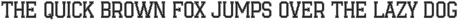 Varsity Team - College Font Bundle preview
