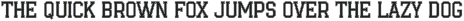 Varsity Team - College Font Bundle preview