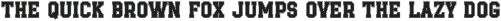 Varsity Team - College Font Bundle preview