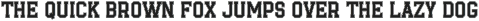 Varsity Team - College Font Bundle preview