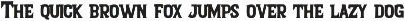 Worth It Font Bundle preview
