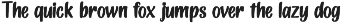 Worth It Font Bundle preview