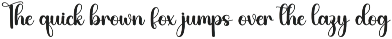 Night | Script Font preview