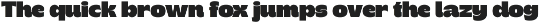Revan Bright - Heavy Playful Sans preview