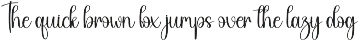 Rustic | Script Font preview