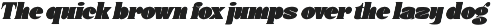 Donge | Display Font preview