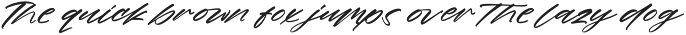 Garden Harmony Handwritten Brush preview