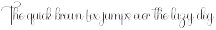 Elegant Calligraphy preview