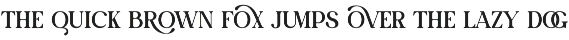 Chiko Elegant Ligature Serif Font preview