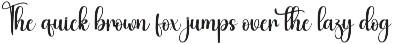 Winterday | Script Font preview