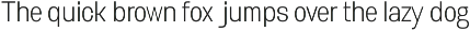 Biarty Sans — Grotesque Typeface preview