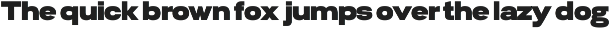 Biarty Sans — Grotesque Typeface preview