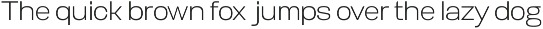 Biarty Sans — Grotesque Typeface preview