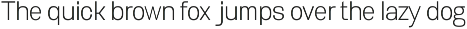 Biarty Sans — Grotesque Typeface preview