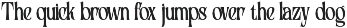 Yordic - Modern Serif Display preview