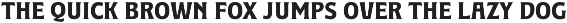 LANDHUIS - 8 Fonts preview