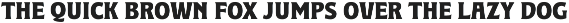 LANDHUIS - 8 Fonts preview