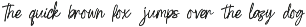 Tember Ameristo Casual Signature preview