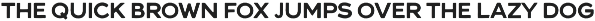 RD Goodflies preview