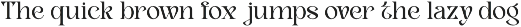 Luxury Fashion Serif Font - Avelind preview