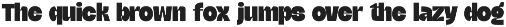 Morning Lacho Chunky Display Sans preview