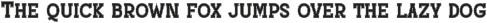 Real University preview