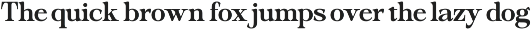 Dopamine Seekers - Stylish Serif preview