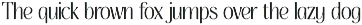 Thereon - Modern Romantic Serif Font preview