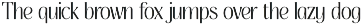 Thereon - Modern Romantic Serif Font preview