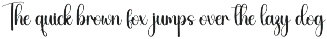 Bigmatch | Script Font preview