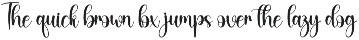 Bookish | Script Font preview