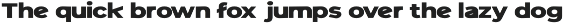 Strong Punch Sport Font preview