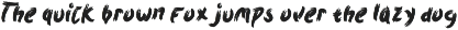 Rogue Sable Bold Brush Font preview