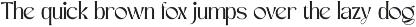 Roselly Serif Font preview
