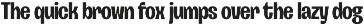 Myntro Sans – Bold Condensed Display preview