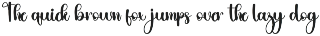 Brushes preview