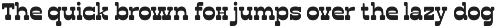 Bold Vintage Slab Serif - Ratesa preview