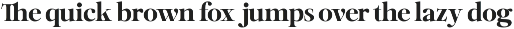Netsera - Editorial Serif Typeface preview
