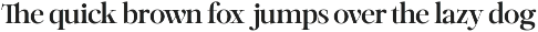 Netsera - Editorial Serif Typeface preview