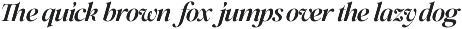 Netsera - Editorial Serif Typeface preview