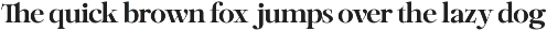 Netsera - Editorial Serif Typeface preview