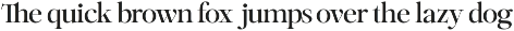 Netsera - Editorial Serif Typeface preview