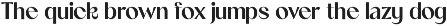 Gosenja – Elegant Summer Serif preview