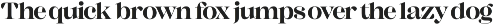 Rengid Afikan Bold Serif Display preview
