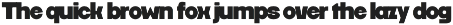 Megion - Bold Display Font preview
