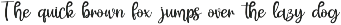 Sparkle Christmas - Display Font Duo font preview